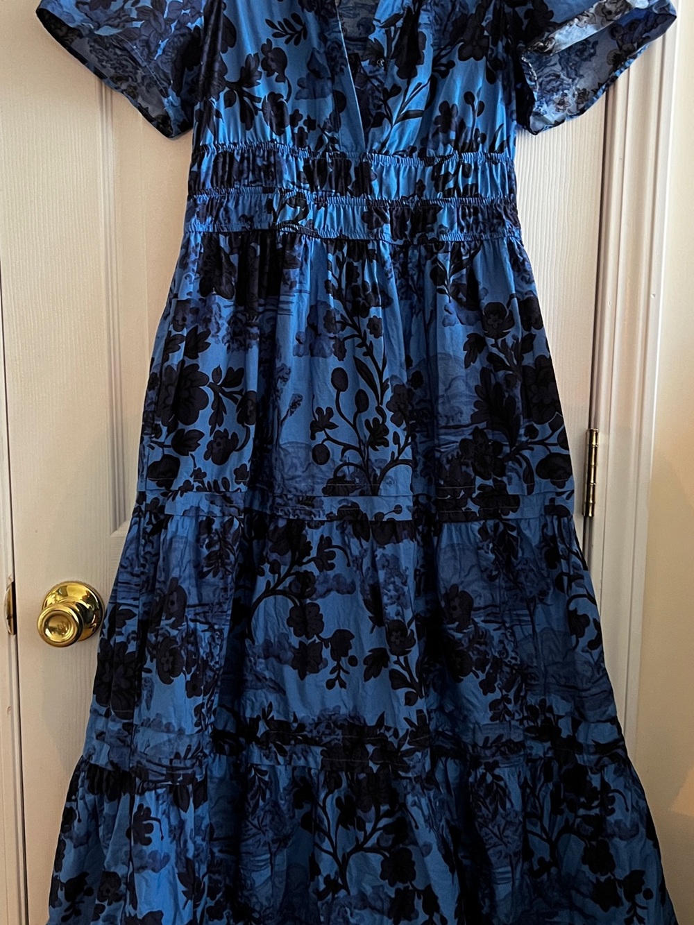 Anthropologie Blue Dress with Black Floral Velvet Print